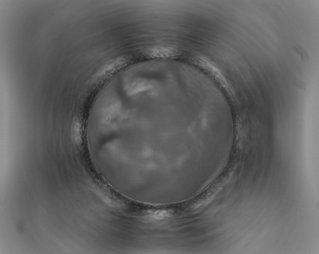 X0000111900161200908101147