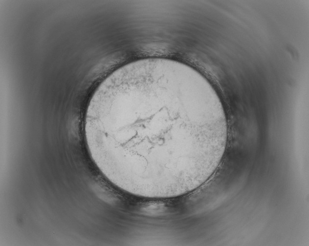 X0000111900162200908101147