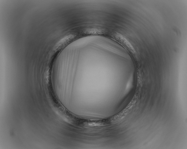 X0000111900163200908101147