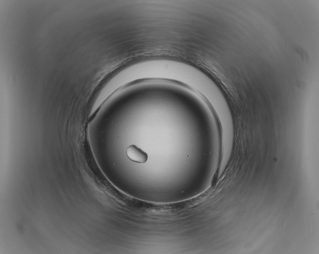 X0000111900164200908101147