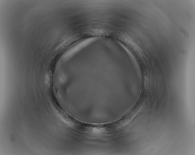 X0000111900165200908101147