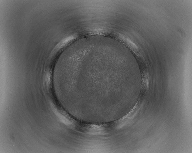 X0000111900166200908101147