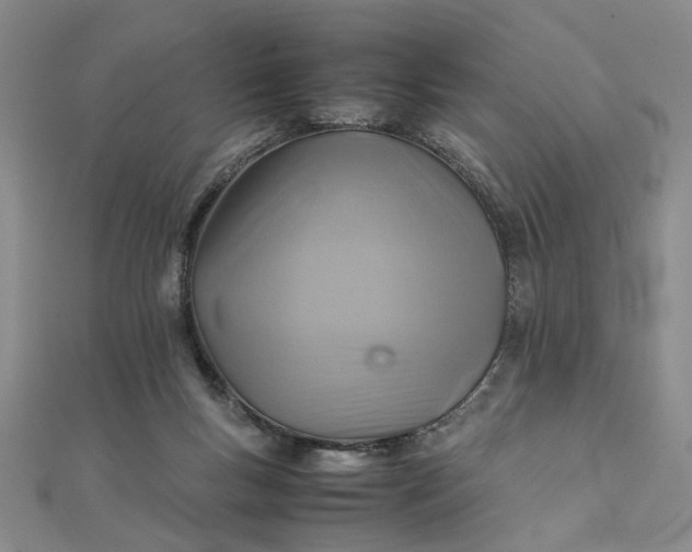 X0000111900167200908101147