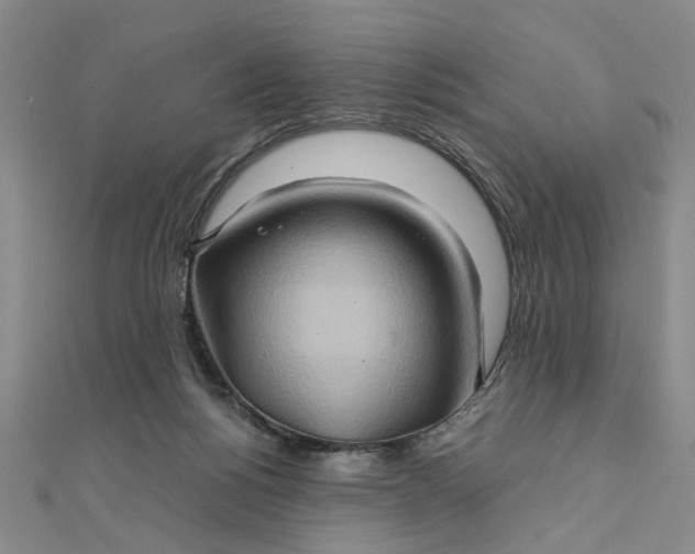 X0000111900168200908101147