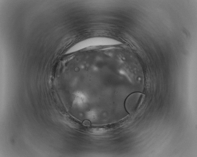 X0000111900169200908101147