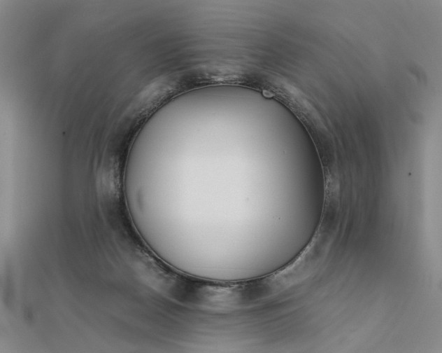 X0000111900170200908101147