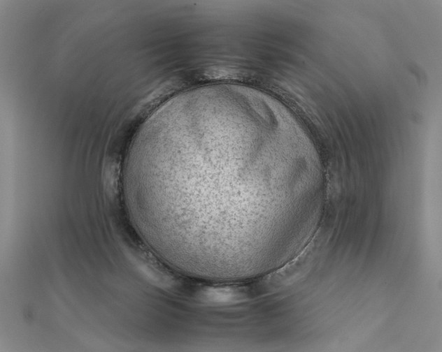 X0000111900171200908101147