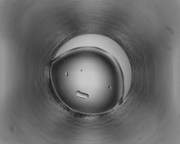 X0000111900172200908101147