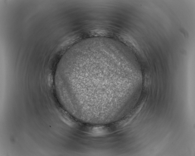 X0000111900173200908101147