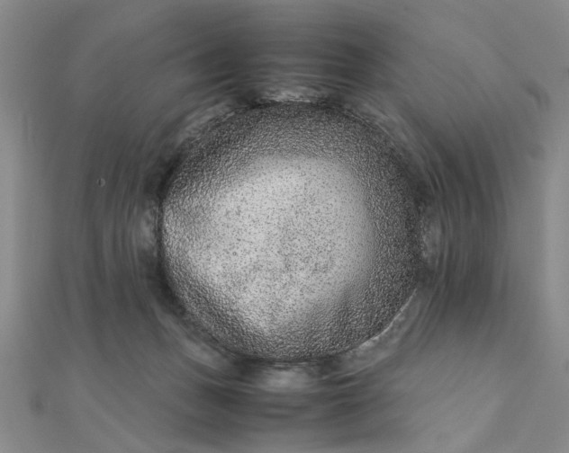 X0000111900175200908101147