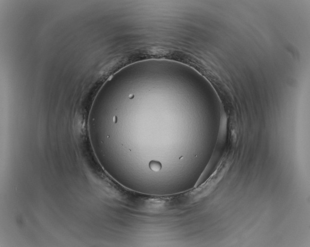 X0000111900176200908101147