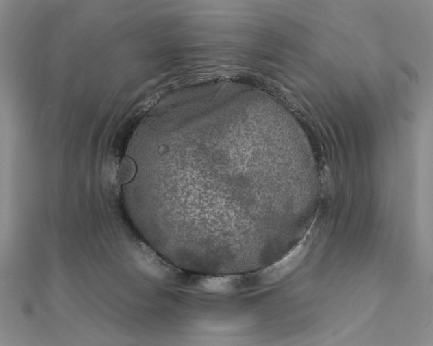 X0000111900178200908101147