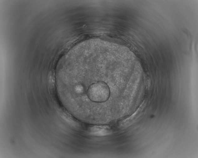 X0000111900179200908101147