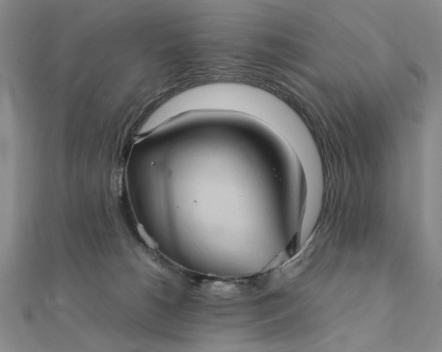 X0000111900180200908101147