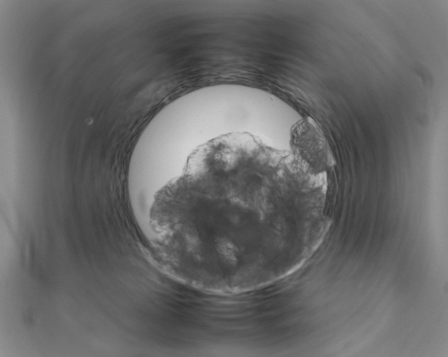 X0000111900181200908101147