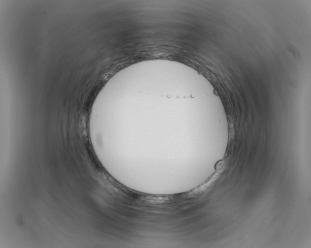 X0000111900182200908101147