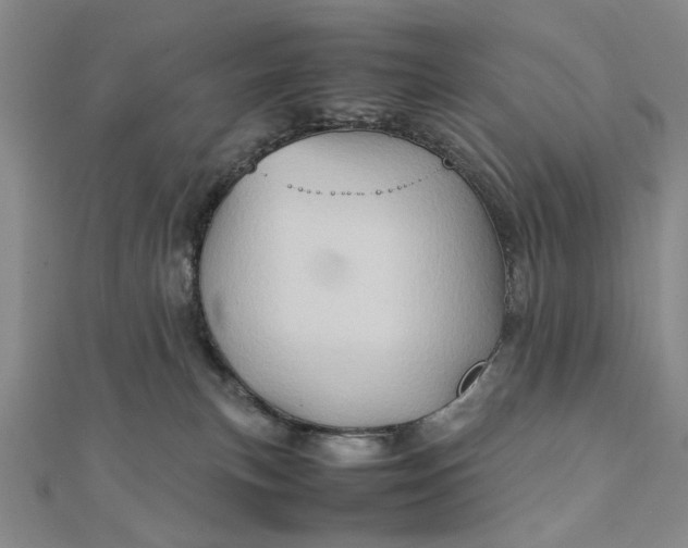 X0000111900183200908101147