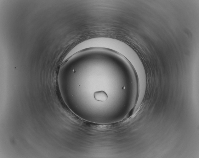 X0000111900184200908101147