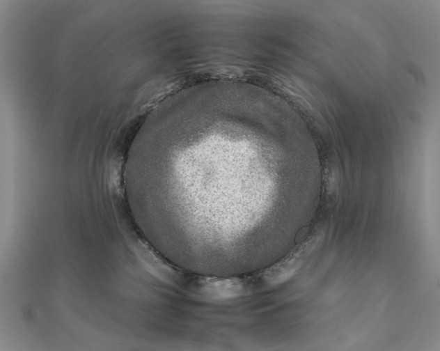 X0000111900185200908101147