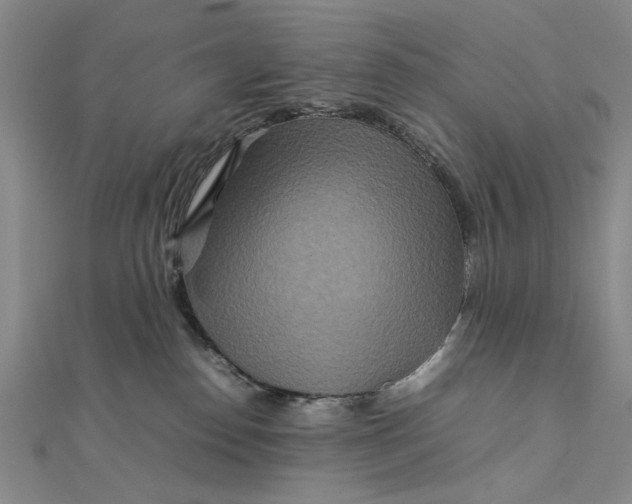 X0000111900186200908101147