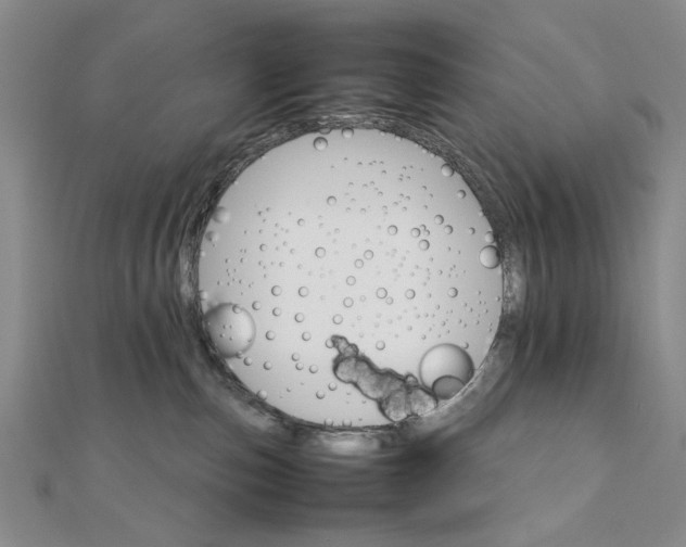 X0000111900187200908101147