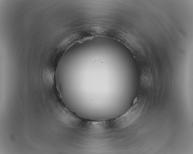 X0000111900188200908101147