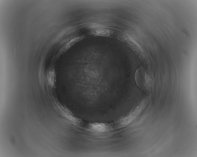 X0000111900189200908101147