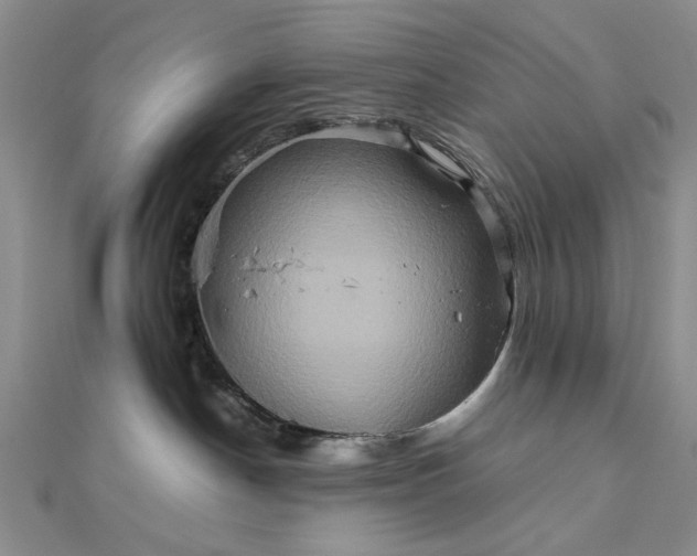 X0000111900190200908101147