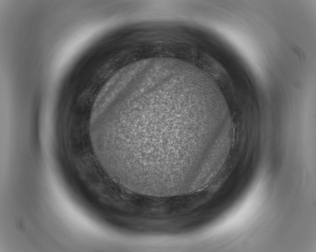 X0000111900191200908101147