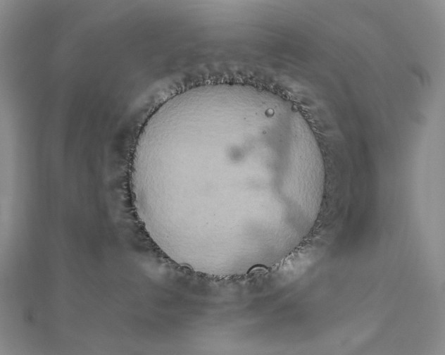 X0000111900192200908101147