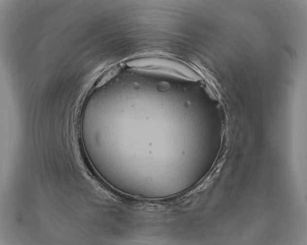 X0000111900193200908101147