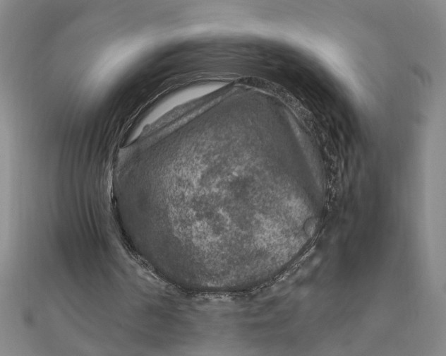 X0000111900194200908101147