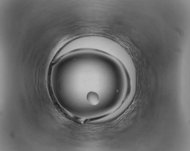 X0000111900195200908101147