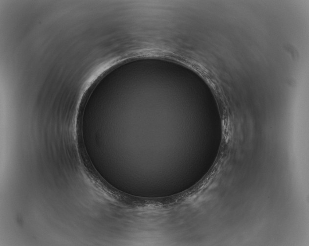 X0000111900196200908101147