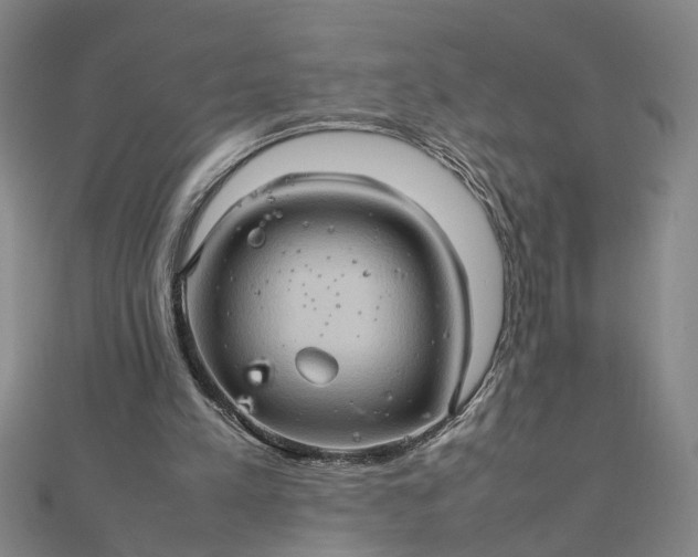 X0000111900197200908101147