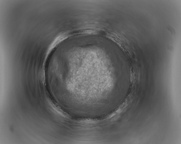 X0000111900198200908101147