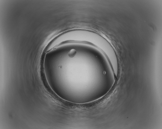 X0000111900199200908101147