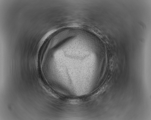 X0000111900200200908101147