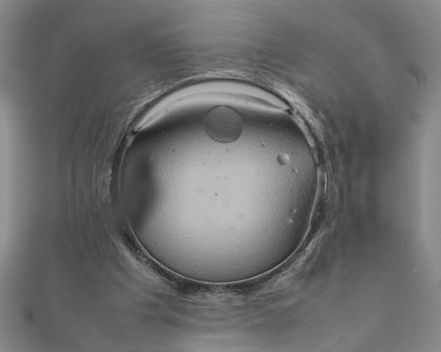 X0000111900201200908101147