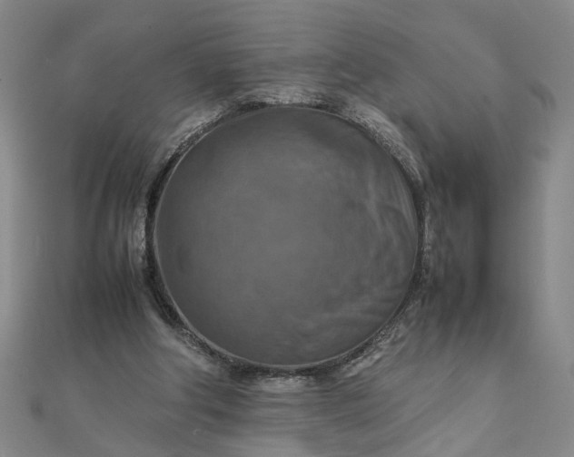 X0000111900202200908101147