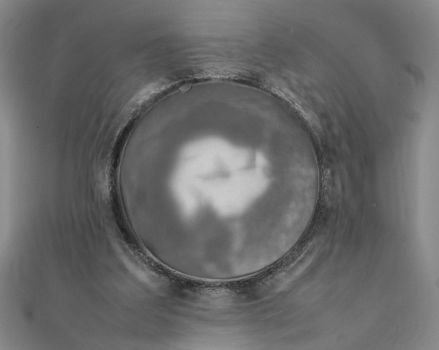 X0000111900203200908101147