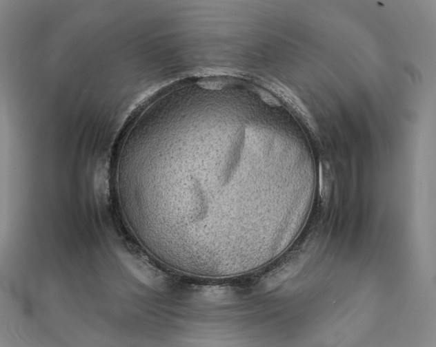 X0000111900204200908101147