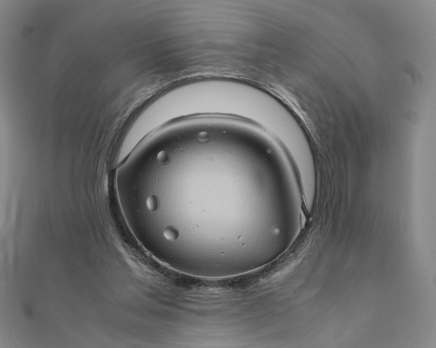 X0000111900205200908101147