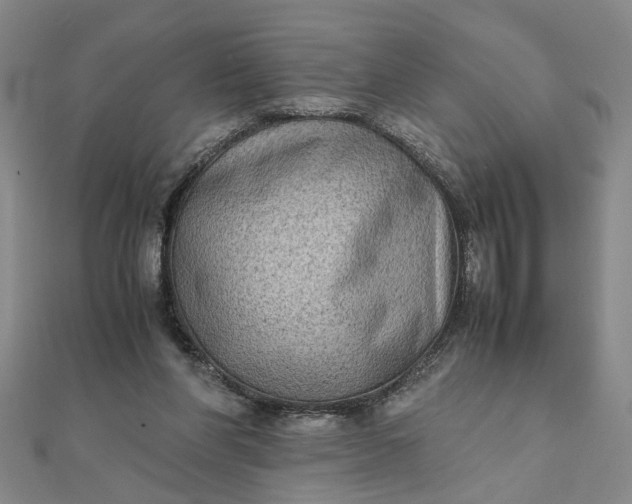 X0000111900206200908101147