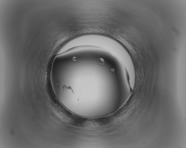 X0000111900207200908101147