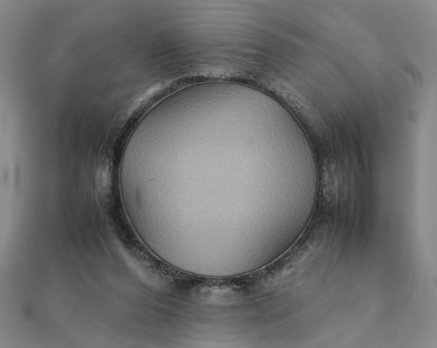 X0000111900208200908101147