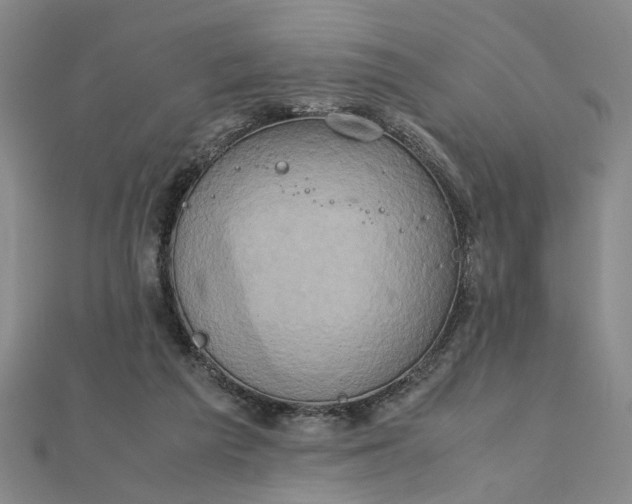 X0000111900209200908101147