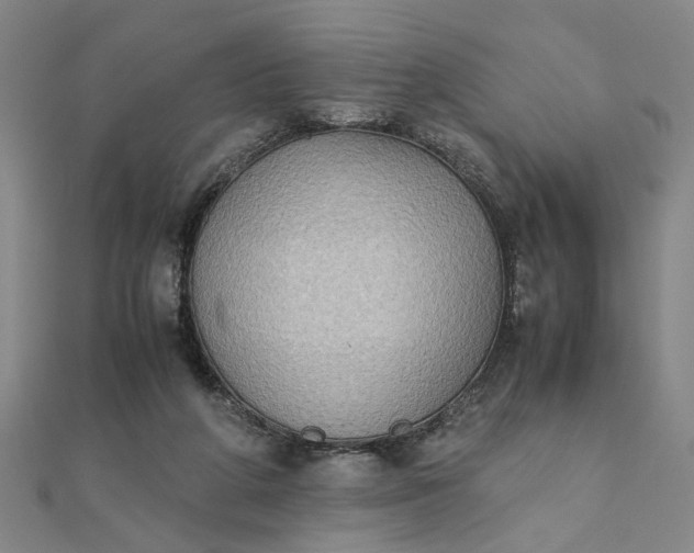 X0000111900210200908101147