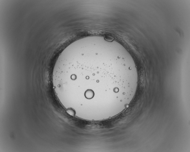 X0000111900211200908101147