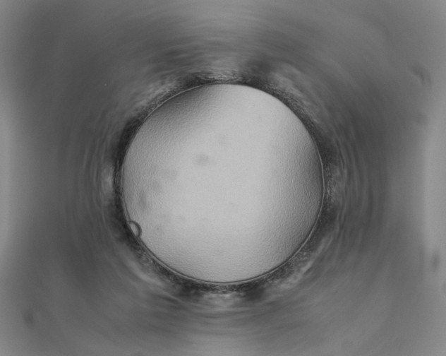 X0000111900213200908101147